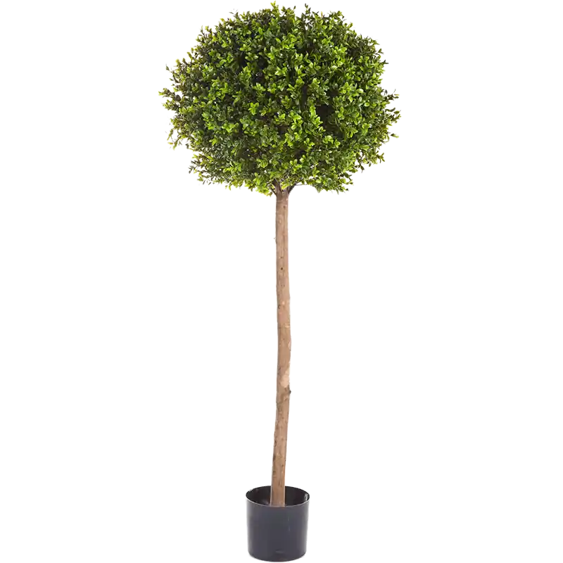 Buxus bol op stam - kunstplant - Nu kopen