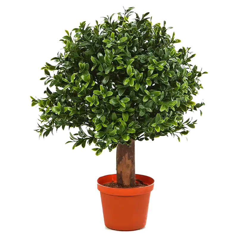 Buxus bol - kunstplant - Voordelig