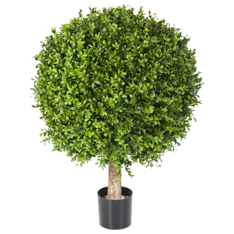 Topkwaliteit - Buxus bol - kunstplant