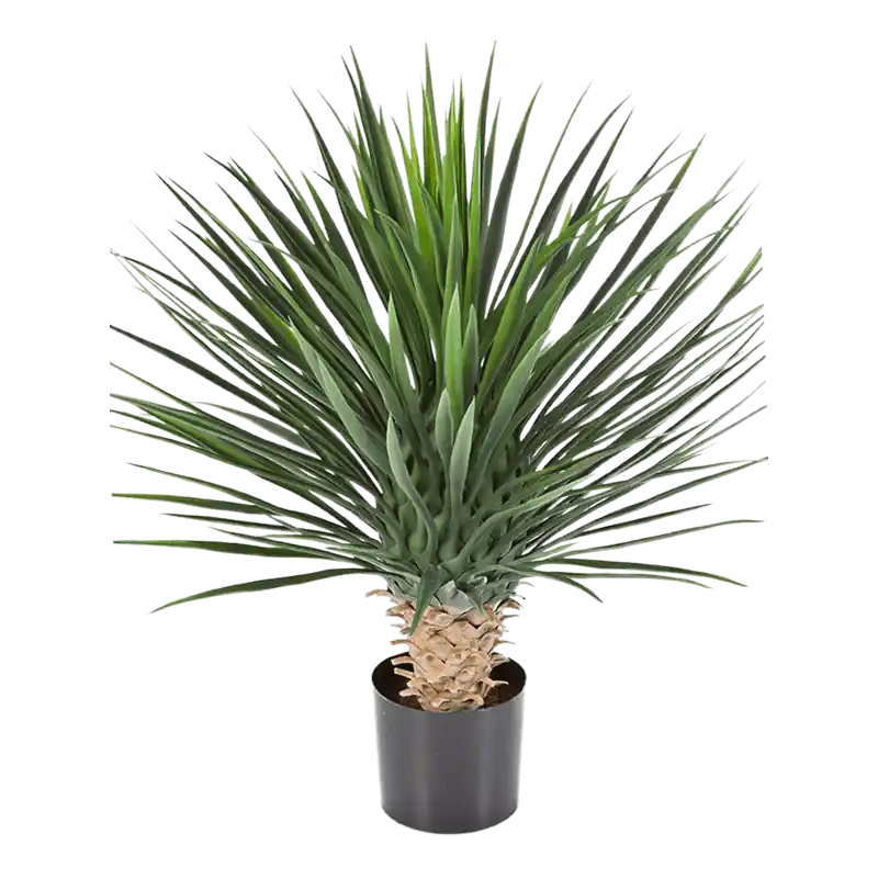 Hoge kwaliteit - Yucca Rostrata - kunstplant