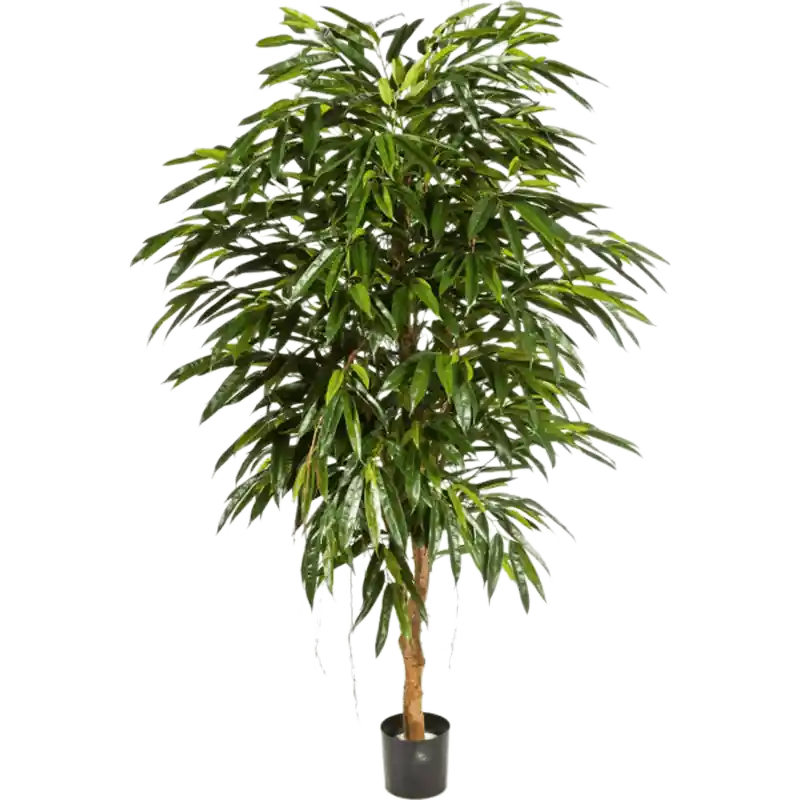 Direct van de fabrikant | Ficus longifolia op stam - kunstplant