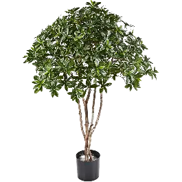 Euonymus Japonicus - kunstplant - Prijs verlaagd