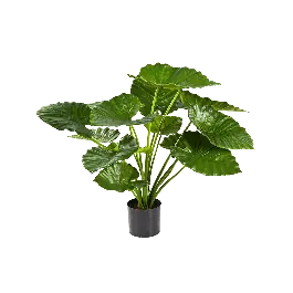 Topproduct | Alocasia Calidora - kunstplant