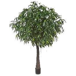 Ficus longifolia op stam XXL - kunstplant - Veilig winkelen