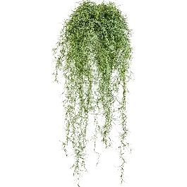 Tillandsia groen - kunstplant | Voordeelprijs