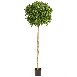 Nieuw product - Laurier op stam - kunstplant