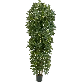 Topdeal - Schefflera Gold Capella zuil - kunstplant