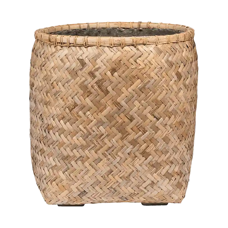 Op = op | Bohemian Bamboo Zayn
