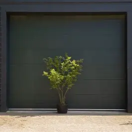 Veilig betalen | Amelanchier lamarckii - meerstammig