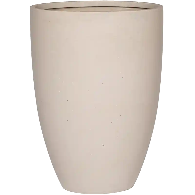 Refined Ben Wit | Nu kopen