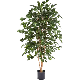 Ficus exotica vertakt - kunstplant | Slechts tijdelijk