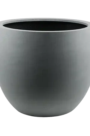Argento Egg Grijs | Expreslevering