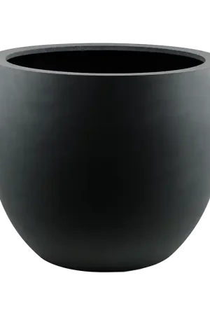 Actieprijs | Argento Egg Zwart