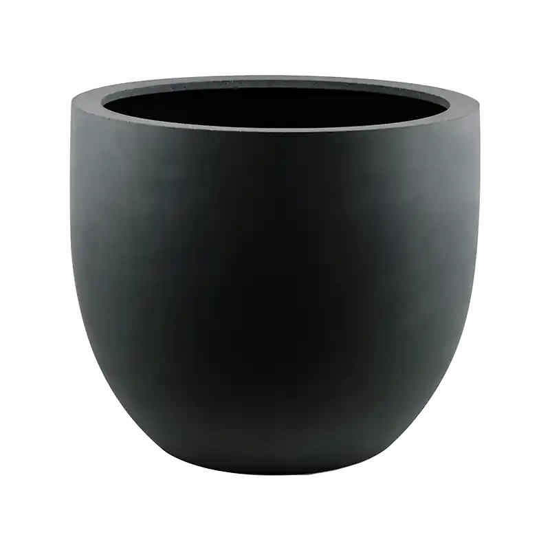 Actieprijs | Argento Egg Zwart