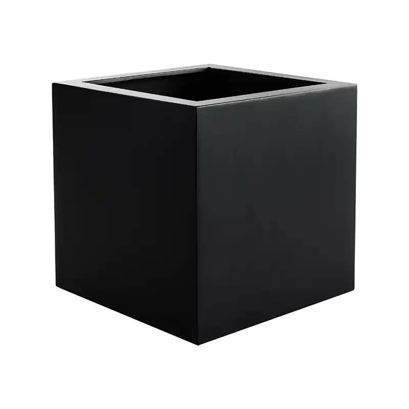 Shop nu | Argento Cube Zwart