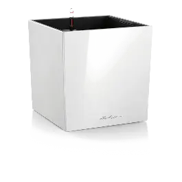 Cube Premium Wit - Favoriet van klanten