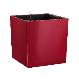 Scherpe prijs - Cube Premium Rood