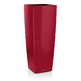 Hoog gewaardeerd - Cubico Alto Rood