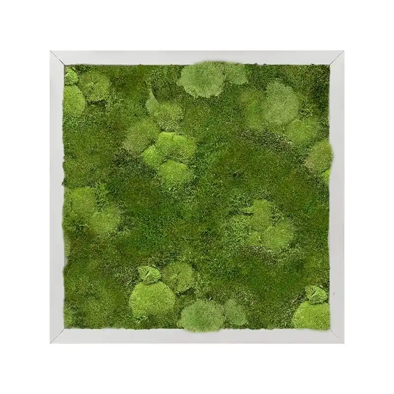 Uitverkoop - Mos Mix 1 Aluminium Schilderij Vierkant