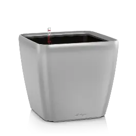 Koop vandaag | Quadro Zilver