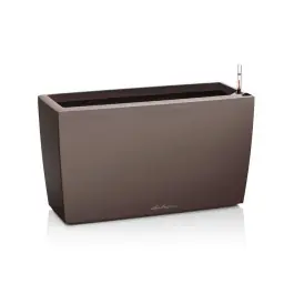 Flitsaanbieding - Cararo Bruin