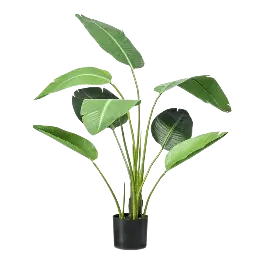 Vanaf nu beschikbaar | Strelitzia - kunstplant