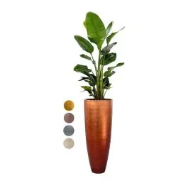 Tijdelijke aanbieding | Strelitzia Nicolai in Metallic Partner copper