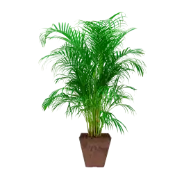 Areca Lutescens in Artstone Ella bruin | Shop nu