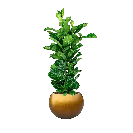 Voordeelprijs - Ficus Lyrata in Metallic Globe honey