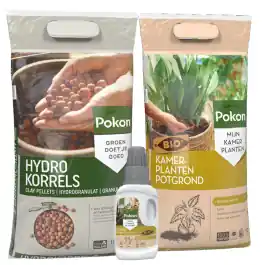 Makkelijk bestellen - Opmaakpakket kamerplanten M