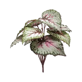 Expreslevering | Begonia groen roze - kunstplant