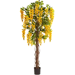 Wisteria geel - kunstplant - Voordeelprijs