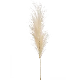 Pampas Tak Creme - kunstplant | Veilig betalen