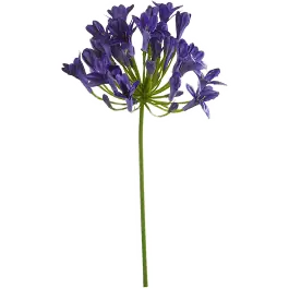 Agapanthus blauw - kunstplant - Bespaar nu