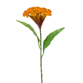 Bijna uitverkocht - Celosia oranje - kunstplant