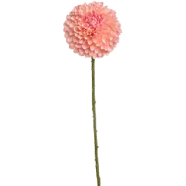 Aanbieding | Dahlia lichtroze - kunstplant