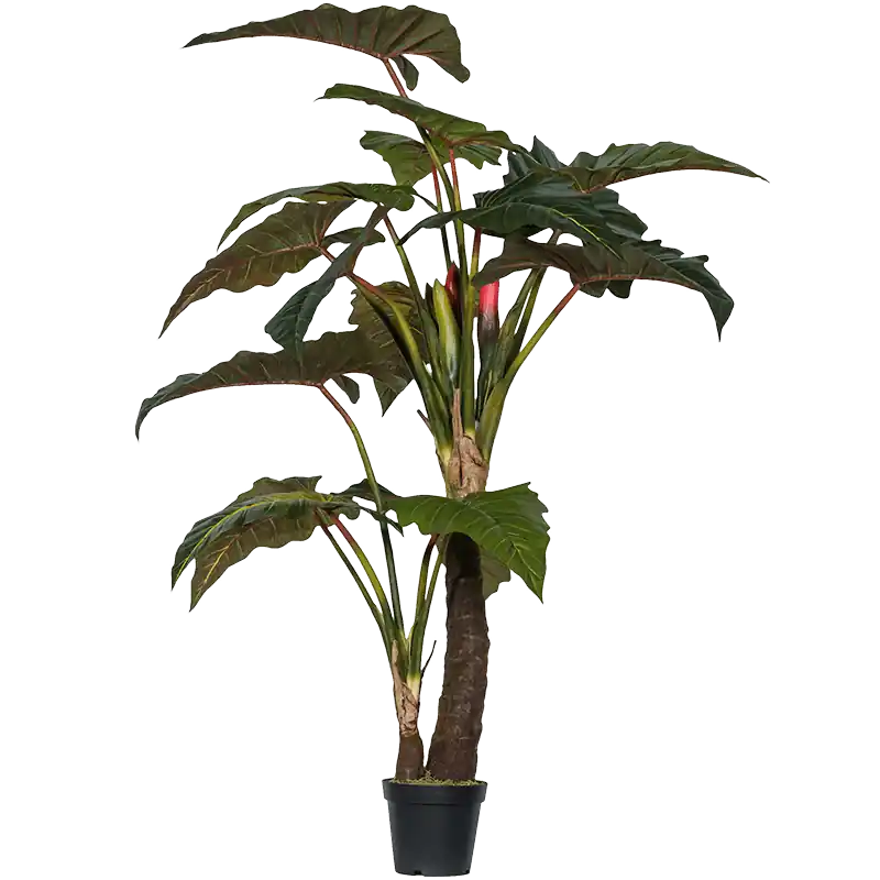 Klantfavoriet - Alocasia vertakt - kunstplant