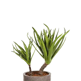 Agave op stam - kunstplant | Nieuw binnengekomen