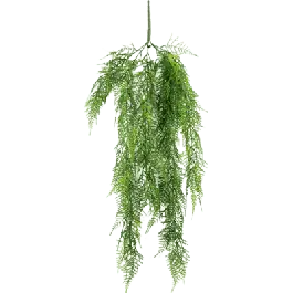 Nu beschikbaar - Asparagus - kunstplant