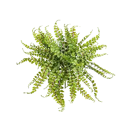 Asplenium Maidenhair - kunstplant - Speciale deal