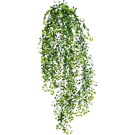 Deal | Soleirolia - kunstplant