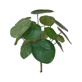 Prijs verlaagd - Pilea - kunstplant