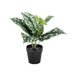 Scherp geprijsd - Scindapsus Pictus pot- kunstplant