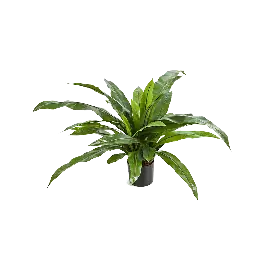 Asplenium struik - kunstplant - Trending