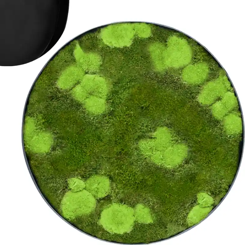 Mosschilderij Rond 30% Bolmos 70% Platmos Antraciet | Alleen vandaag