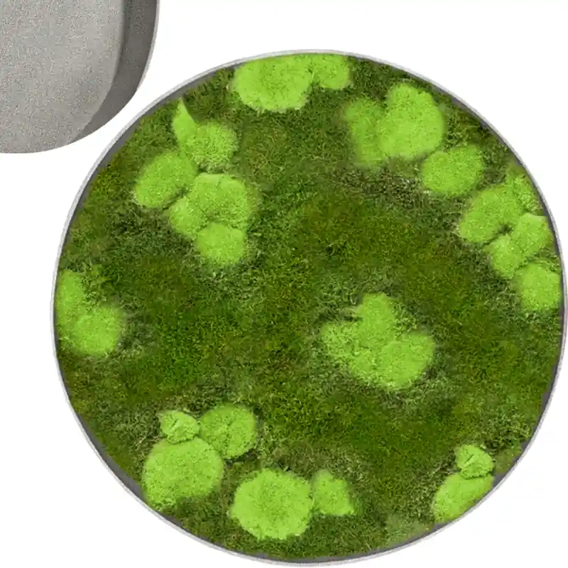 Mosschilderij Rond 30% Bolmos 70% Platmos Natural - Direct beschikbaar