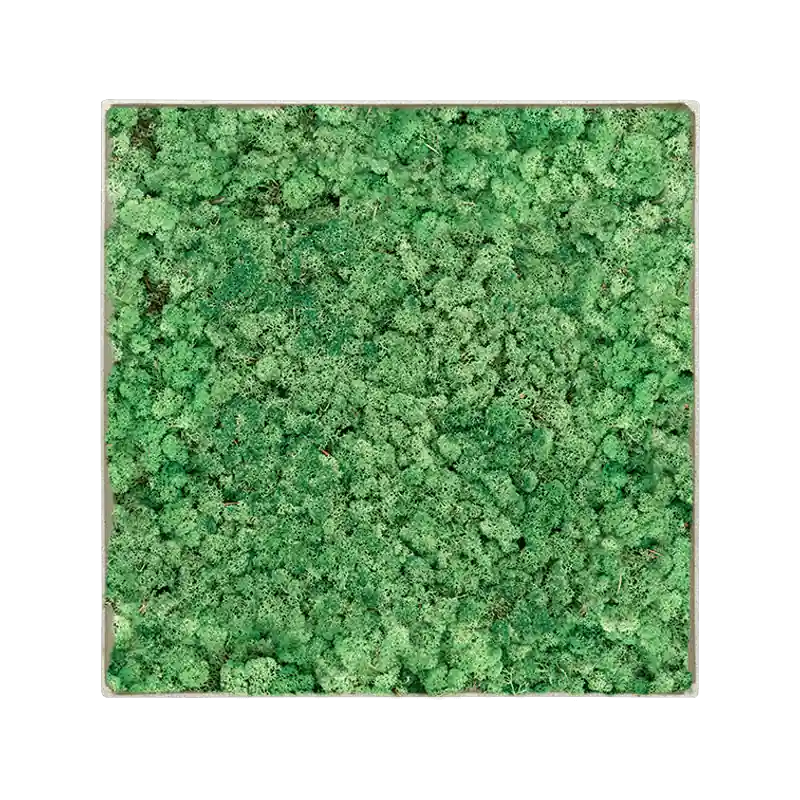 Prijsverlaging | Mosschilderij vierkant 100% Rendiermos Grasgroen Concrete Frame