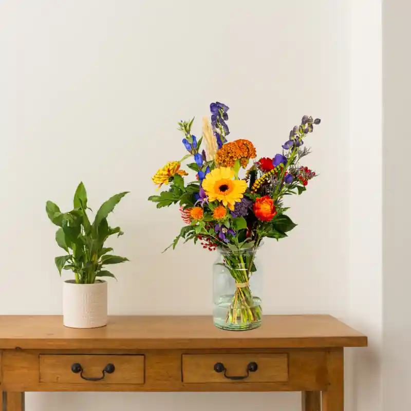Outlet | Boeket Noor