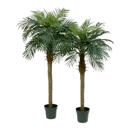 Phoenix palm - kunstplant | Snelle verzending