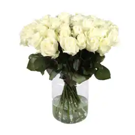 Bespaar meer - 50 Witte Rozen + Vaas